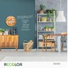 RECOLOR Recycled Interior Matte Finish Latex Paint for Walls and
