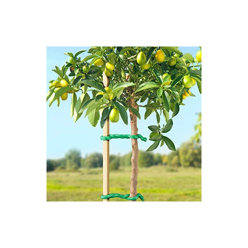 Tree tie 10m with Foamed Rubber Surface