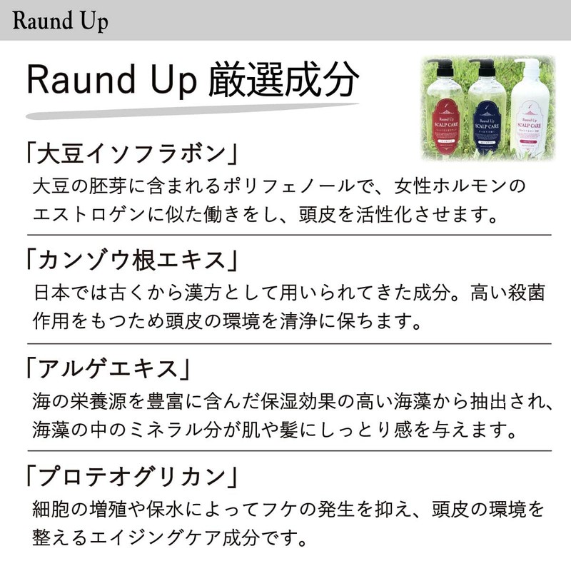 Raund UP Scalp Care (Highly Moisturizing Treatment, Main Unit, 27.1