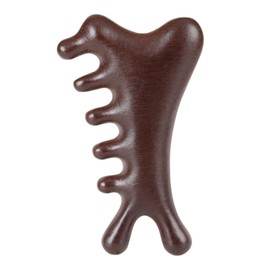 BOJIDO 4 in 1 Cassa Face Plate Wood Comb Face Comb Type Cassa Plate Wood Pressure Point Scalp Massage Jaw Line Improvement for Eyes Nose Neck Decollete Meridian Massage Multi-functional Body Cassis