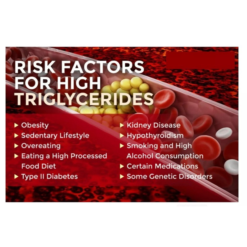 supplements4me TRIGLYCERIDES REMOVER & FLUSHER ANTIOXIDANT SUPPLEMENT 90 PILL softgel