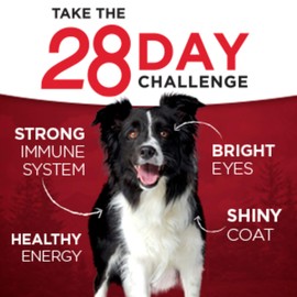 Purina ONE Grain Free, Natural Pate Wet Dog Food, SmartBlend True Instinct With Real Turkey & Venison - (12) 13 oz. Cans