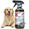 PetSilver Wound & Skin Spray - Dog Wound Spray, Hot
