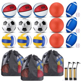 Leyndo 18 Pcs Sport Balls Set - Football, Basketball, Soccer, Volleyball, Playground Ball, Baseball, Carrying Bag, Pump, Blue