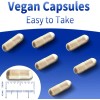 Liposomal Potasio Magnesio Zinc Con 120caps Hecho En Usa Sin