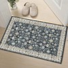 Indoor Washable Door Mat, Small Area Rug for Kitchen, Soft