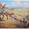 Orren Mixer The Appaloosa Horse Postcard Blank Back 4.25 x