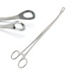 Foerster Sponge Forceps 10" Curved
