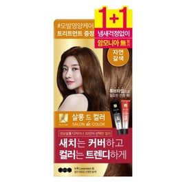 Elastin Salon de Color Hair Dye 2-pack (Natural Brown) / 살롱드컬러 염모제 2입 (자연갈색)
