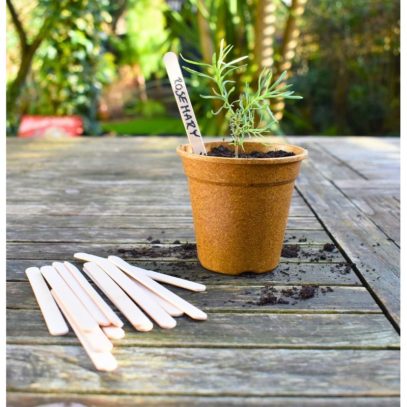 Nutley's Biodegradable Seedling Labels Plant Markers (Pack of 200)