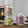 Airtight Small Glass Jars with Lids, 17oz Food Storage Jar