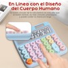 JKMX Calculadora de Dopamina, Calculadora Electrónica de Oficina, Calculadoras de