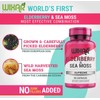 Wixar Naturals Elderberry and Sea Moss Supreme Capsules - Natural