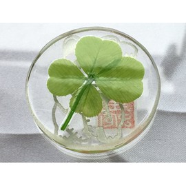 Real Four Leaf Clover Good Luck Pocket Token, Preserved, 1.25” (Including Cutout Japanese Character ”MANEKINEKO”)