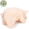 TigerHart Perla The Pig - 11 Inch Stuffed Animal Plush