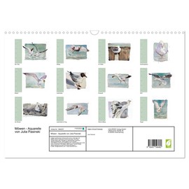 Möwen - Aquarelle von Julia Pasinski (Wandkalender 2026 DIN A3 quer), CALVENDO Monatskalender