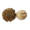 IAMSIAMZ DOK JOK Cookie Bouquet Sunflower 3.0 Inch Diameter Crispy