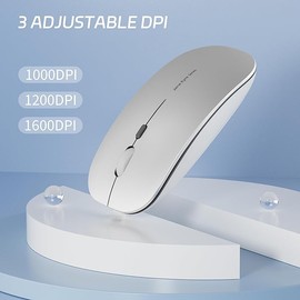 Q5 Slim Rechargeable Wireless Mouse, 2.4G Portable Optical Silent Ultra Thin Wireless Computer Mouse with USB Receiver and Type C Adapter, Compatible with PC, Laptop, Notebook, Desktop (Silver)