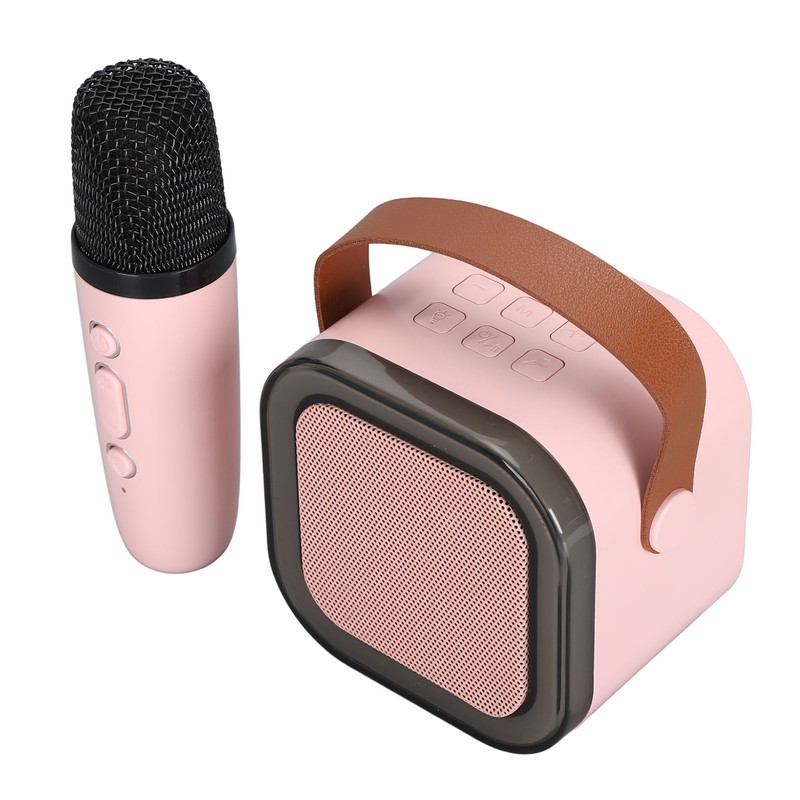 Portable Karaoke Machine LED Dynamic Light Small Bluetooth Speaker with
