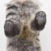 BH7840 HANSA Ardwolf Figure 28