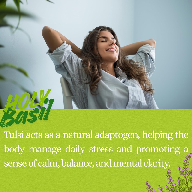 Basic Ayurveda Holy Basil (Tulsi) Leaves | 1.06 Oz (30g)