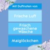 Glade Glade electric scented oil Nachfüller, elektrischer Raumduft Duftstecker mit