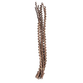32-36" Natural Ladder Branches-7/Pk Wood, 32", 7 Count