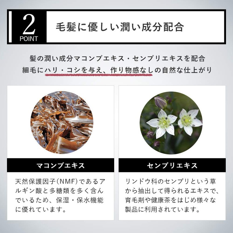 薄毛スプレー ヘアフォロー HairFollow ブラック 150g