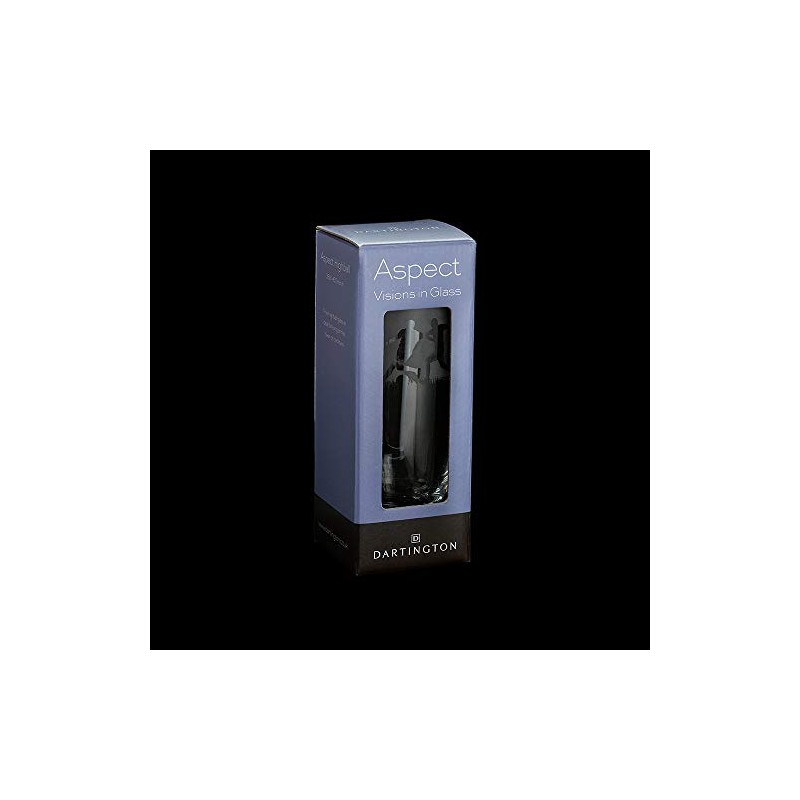 Dartington Crystal TU3407/6/CYCLING Aspect Highball Cycling, 160 mm (H) 38