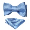 HISDERN Mens Paisley Jacquard Pocket Square Wedding Party Self Tie