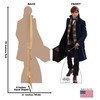 Advanced Graphics Newt Scamander Life Size Cardboard Cutout Standup -