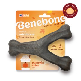 Benebone Pumpkin Spice Wishbone – Limited Edition Flavor, Durable Dog Chew Toy for Aggressive Chewers, Made in USA, Medium