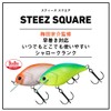 Daiwa 25 STEEZ Square 100 Lure, Umekyo Orange