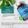 L Lysine Tablets High Dose 2000 mg | 365 Vegan