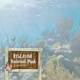 Scrapbook Customs 39072 Biscayne National Park Watercolor Florida 12 Inch x 12 Inch Double-Sided Scrapbook Paper - 1 Sheet