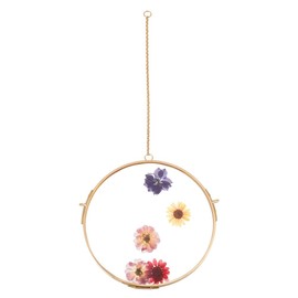 OLYCRAFT Round Hanging Glass Frame 15cm Wall Hanging Brass Floating Frame Double Glass Picture Frame with Chain DIY Artwork Display Frames for Pressed Flowers Pictures Home Wall Decorations