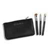 Glam and Go Mini Eye Brush Set by SIGMA for