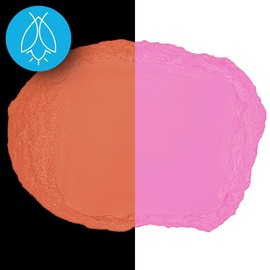 Glow in The Dark Pigment Powder - Neutral and Fluorescent Color for Art Painting, Fine Art, Nail Art Paint, and DIY Crafts - Long Lasting 10+ Color Options - Fluorescent Pink - (1 Ounce/30 Grams)