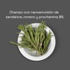 Shampoo Anticaída Romero y Sandalore | Fórmula Concentrada para Cabello