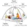 Fisher-Price Perfect Sense Deluxe Gym Baby Infant 0 Months +