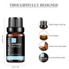 MAYJAM Essential Oil Jasmine 10ml Aroma Oil Essential Oil