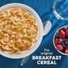 Kellogg's Special K Breakfast Cereal, Family Breakfast, Fiber Cereal, Large