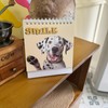 Funny Desk Signs,30 Different Fun and Flip-Over Messages for Office