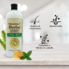 6 Pz Secreto Herbal Acondicionador Cola De Caballo Y Jalea