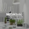 Prebioticos Probioticos Y Postbioticos Megabiotic 120 Caps Sabor Sin sabor