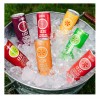 CAN IZZE Sparkling Juice, 4 Flavor, Variety Pack, 8.4 Fl