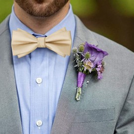 HOULIFE Pre-tied Bowties for Men Solid Color Adjustable Tuxedo Bow tie and Pocket Square Cufflink with Gift Box for Wedding (Champagne)