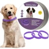 Dog Calming Collar