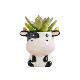DIYOMR - Maceta pequeña para suculentas con forma de dibujos animados para plantas mini, cactus de flores, cerámica suave y brillante, plantas no incluidas (vaca)