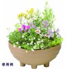 Yamato Plastic Pot, Planter kori-nupotto 30 Notebook